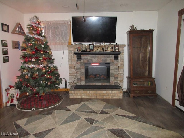 living room featuring a fireplace and hardwood / wood-style floors