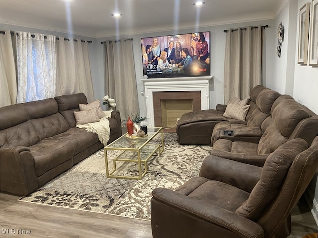 living room with hardwood / wood-style floors