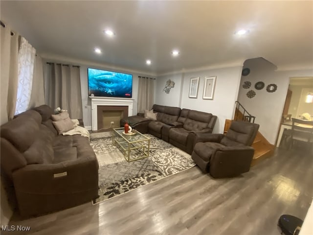 cinema room featuring wood-type flooring