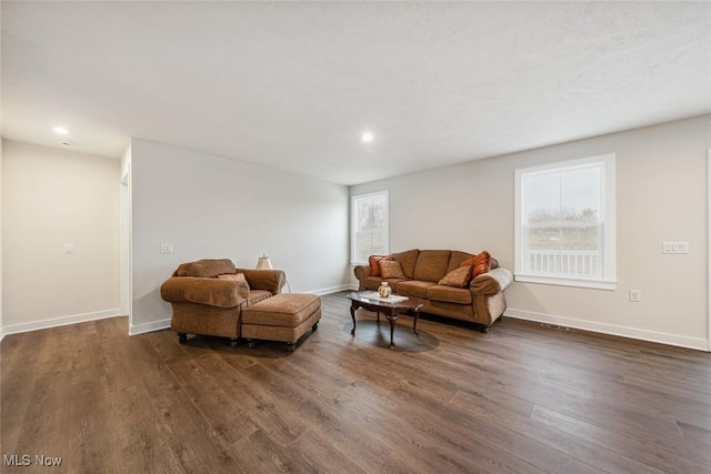 living room with dark wood-type flooring