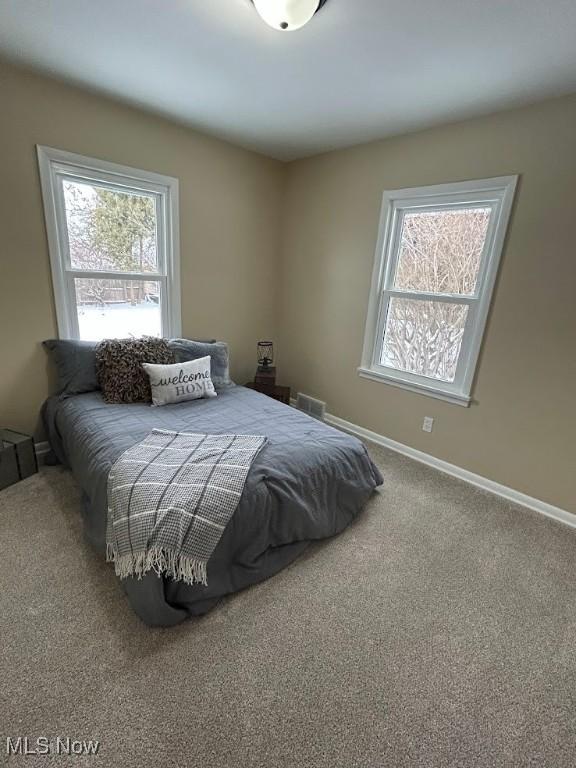 bedroom with carpet floors