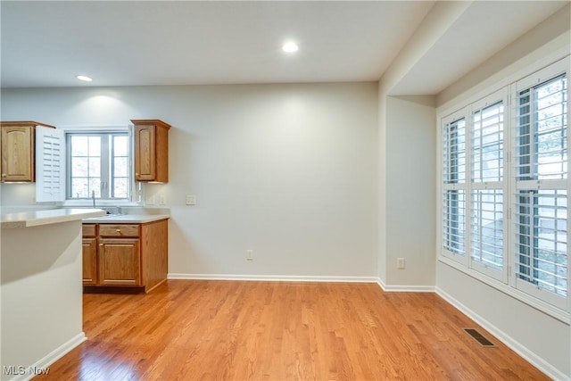 kitchen with light hardwood / wood-style flooring, a wealth of natural light, and sink