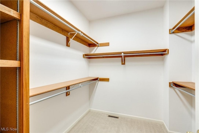 walk in closet with light carpet