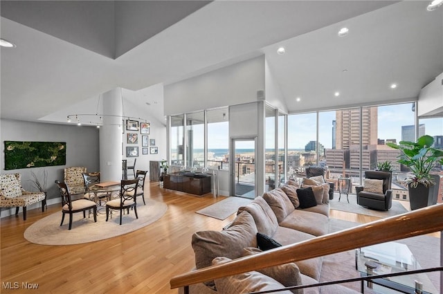 living room featuring light hardwood / wood-style floors and a high ceiling