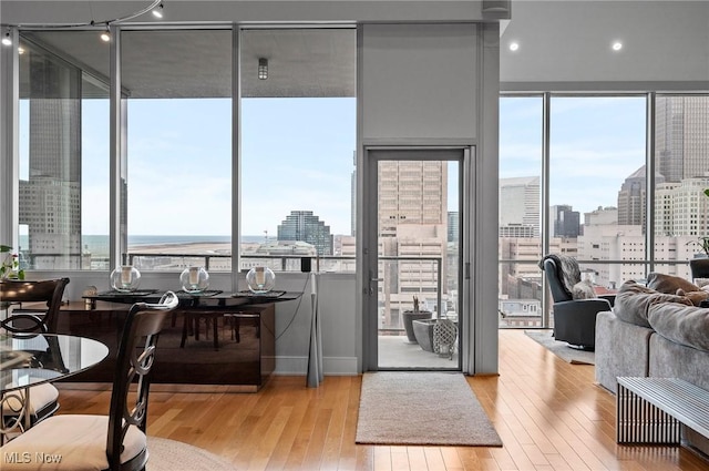 interior space with light hardwood / wood-style flooring