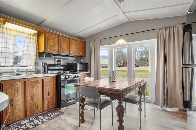 kitchen with a healthy amount of sunlight, light hardwood / wood-style floors, hanging light fixtures, and black appliances