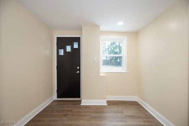 foyer featuring dark wood-type flooring