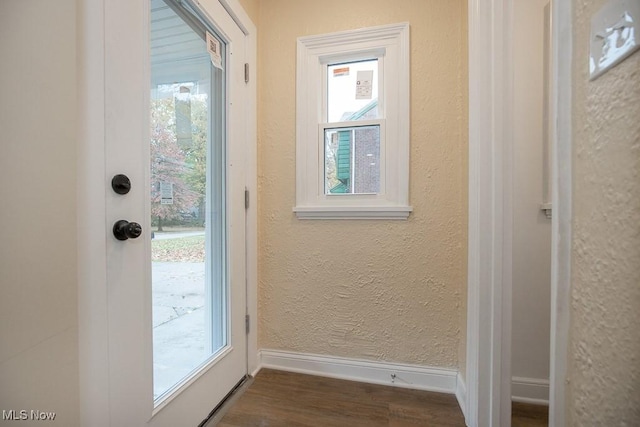 doorway to outside featuring dark hardwood / wood-style flooring and a healthy amount of sunlight