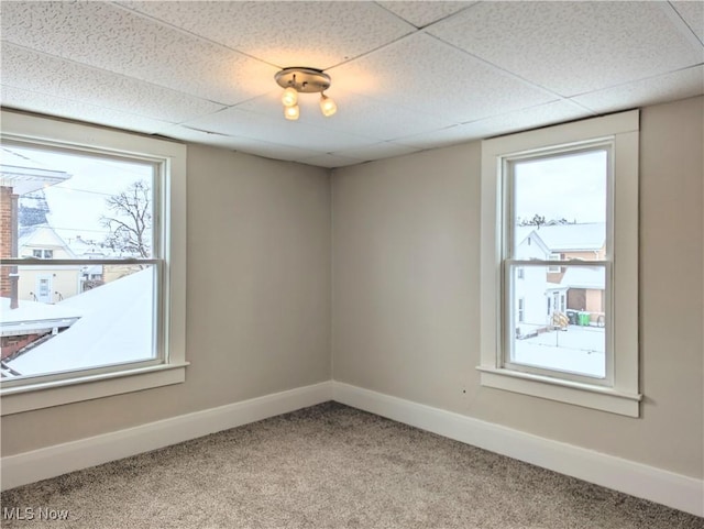 empty room featuring carpet and a paneled ceiling