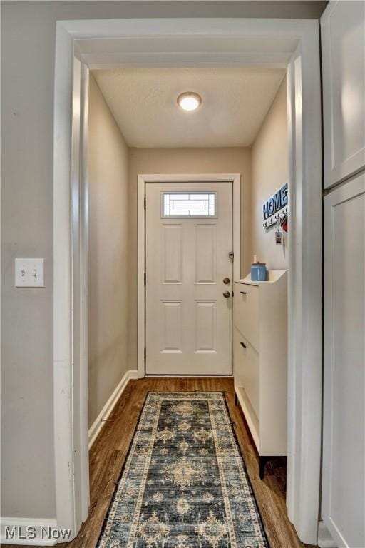 entryway featuring wood-type flooring