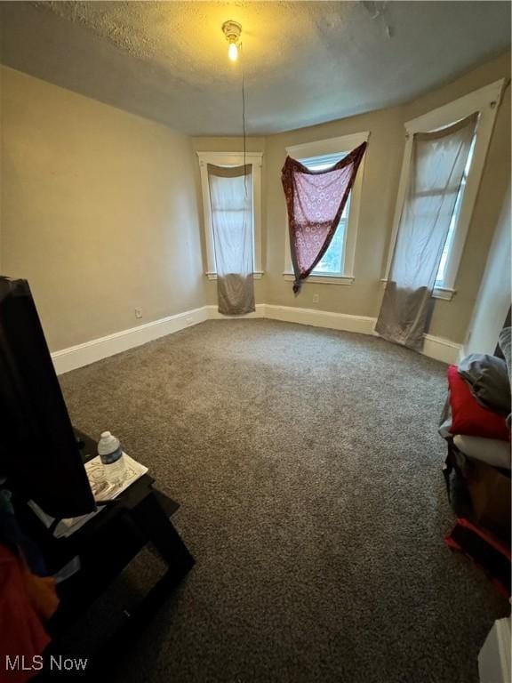 unfurnished room with carpet and a textured ceiling