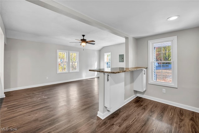 kitchen featuring ceiling fan, dark wood-type flooring, kitchen peninsula, electric panel, and lofted ceiling