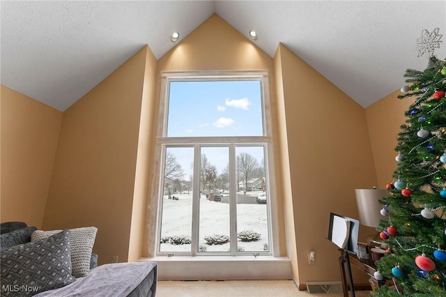 additional living space with light carpet and vaulted ceiling