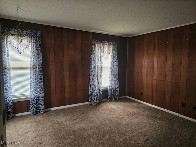 unfurnished room featuring carpet floors, plenty of natural light, and wood walls