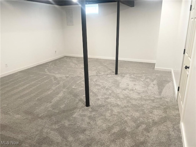 basement with carpet floors