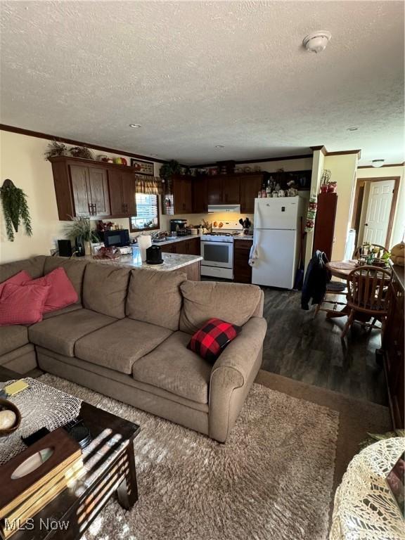 living room with dark hardwood / wood-style floors and a textured ceiling