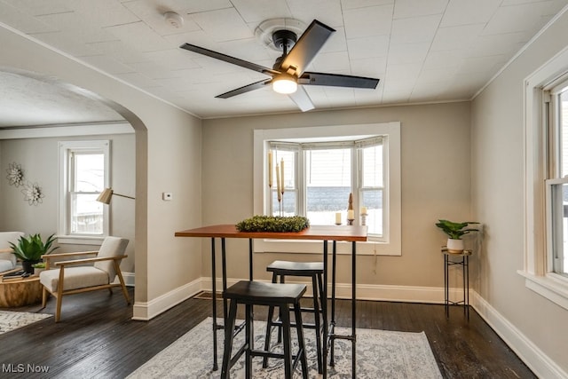 dining room featuring ceiling fan, dark hardwood / wood-style floors, and ornamental molding