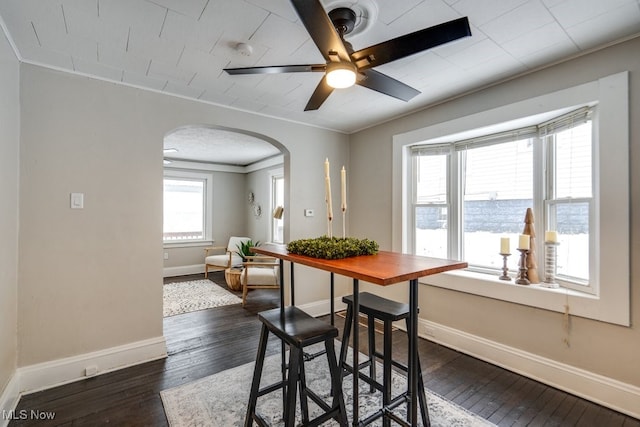 dining space with crown molding, ceiling fan, and dark wood-type flooring