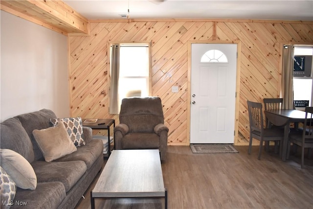 living room featuring wood walls and dark hardwood / wood-style floors