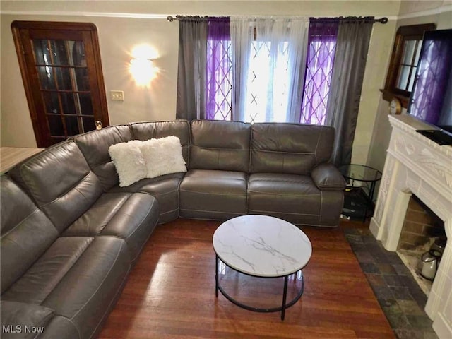 living room with dark hardwood / wood-style floors