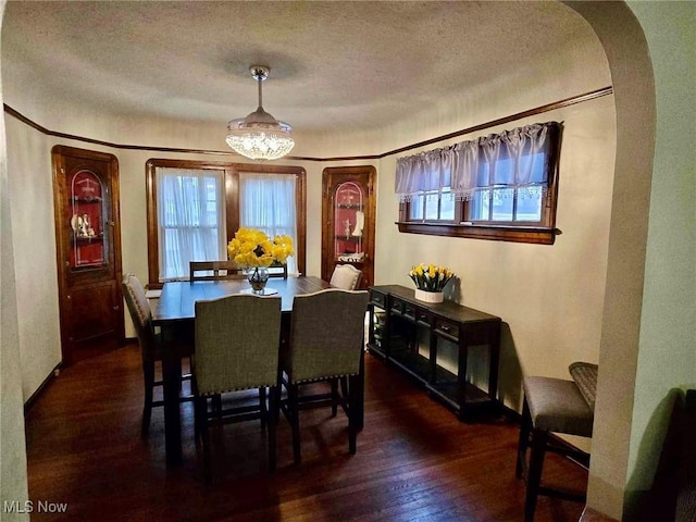 dining room with a textured ceiling, a wealth of natural light, and dark hardwood / wood-style floors