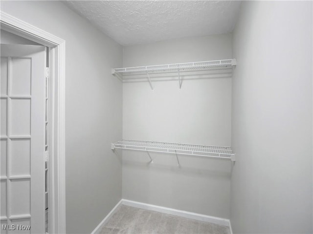 spacious closet featuring light carpet