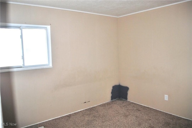 carpeted spare room featuring crown molding