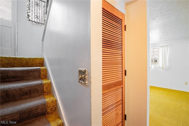 staircase with carpet and a textured ceiling