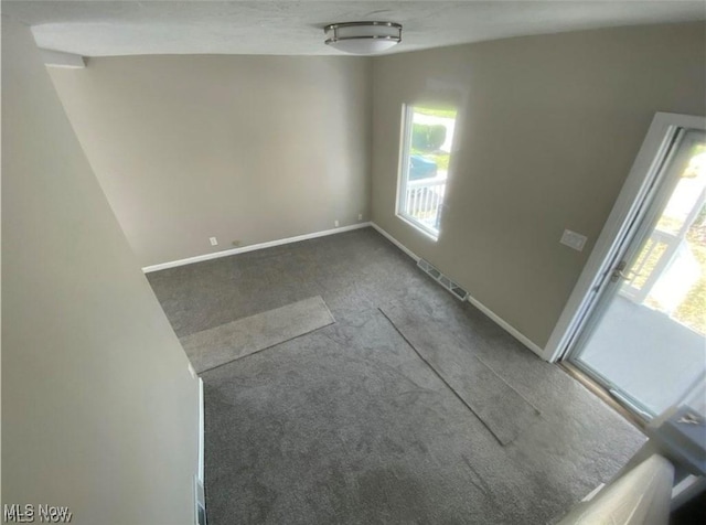 spare room with carpet floors