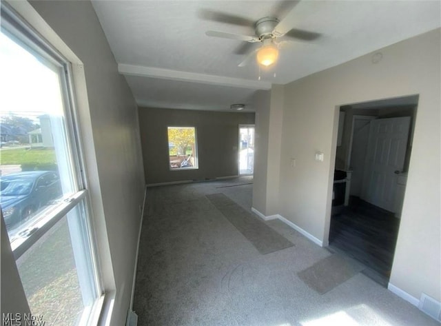 hall with a healthy amount of sunlight and carpet floors