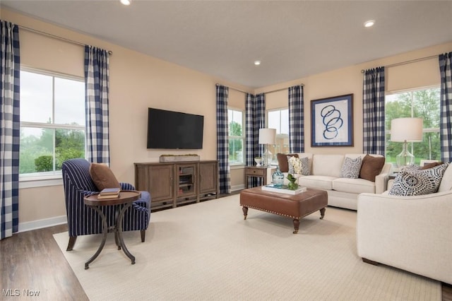 living room with wood-type flooring