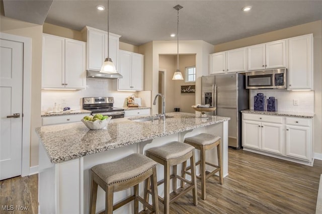 kitchen featuring ventilation hood, stainless steel appliances, a kitchen island with sink, sink, and white cabinets