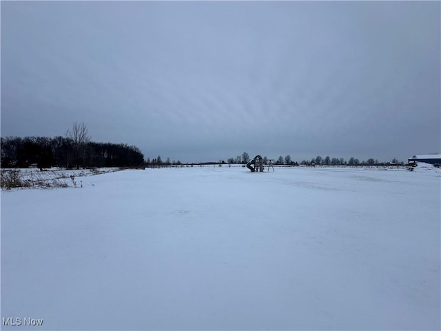 view of snowy yard