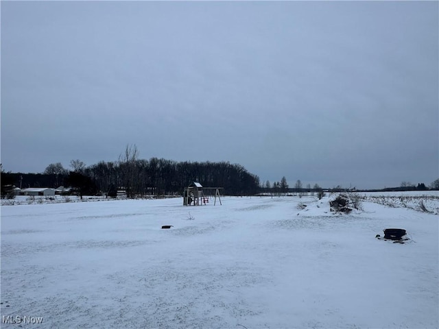 view of yard covered in snow