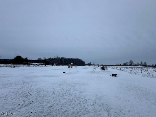 view of yard layered in snow