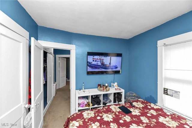 bedroom with carpet flooring