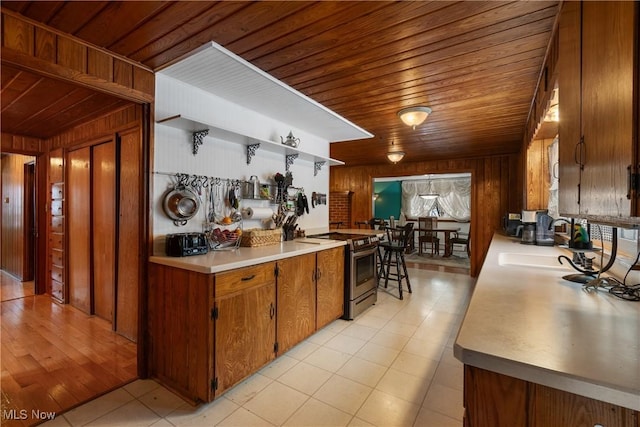 kitchen featuring wooden walls, sink, wooden ceiling, and stainless steel range with electric stovetop