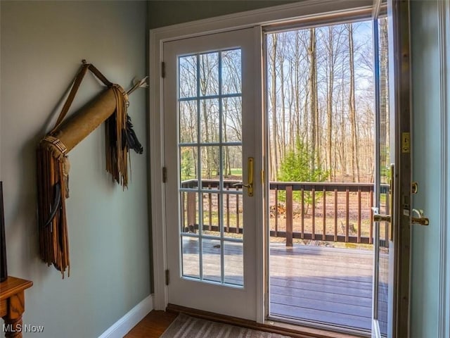 doorway to outside featuring wood-type flooring