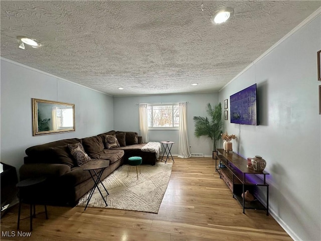 living room with a textured ceiling, light wood-type flooring, and crown molding