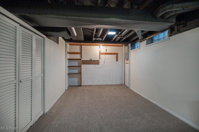 basement with electric panel