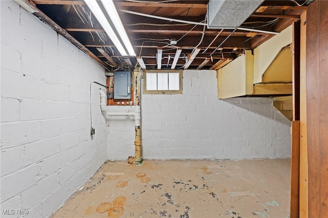 basement with electric panel