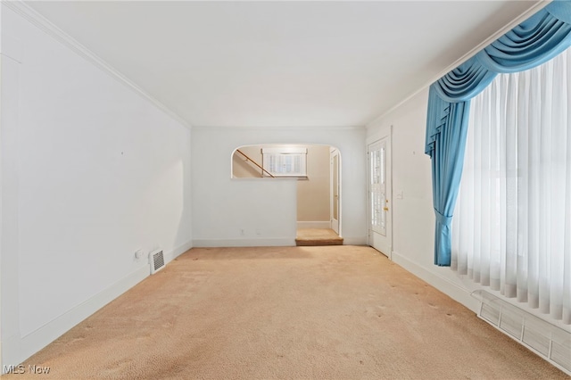 spare room with plenty of natural light, carpet floors, and ornamental molding