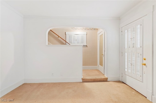 carpeted foyer entrance featuring ornamental molding