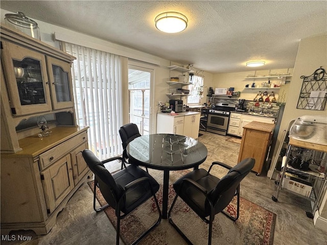 dining room with a textured ceiling