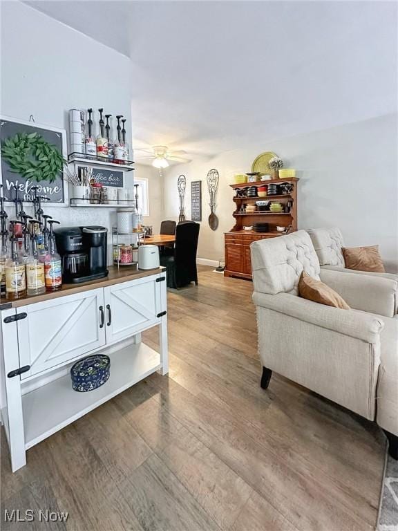 living room with ceiling fan and hardwood / wood-style floors