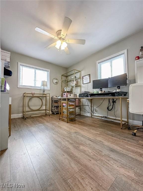 office space with ceiling fan and wood-type flooring