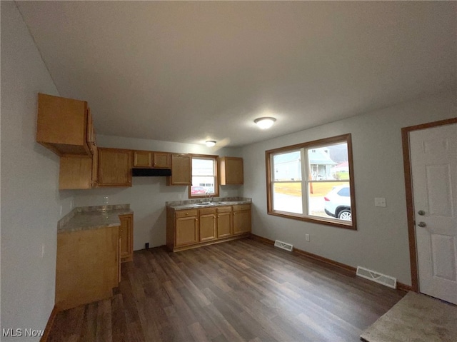 kitchen with sink and dark wood-type flooring