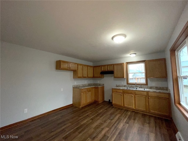 kitchen with sink and dark hardwood / wood-style floors