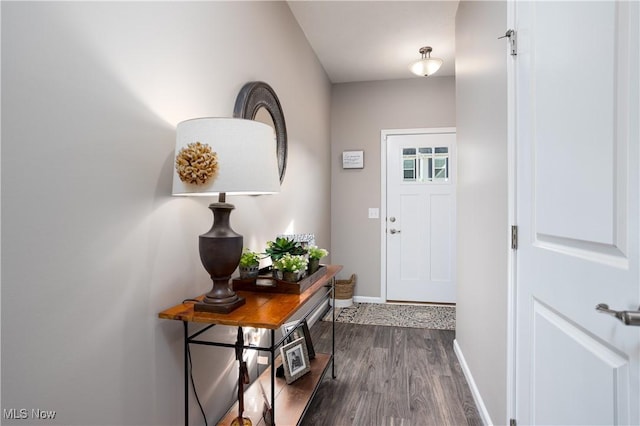 entryway featuring dark hardwood / wood-style flooring