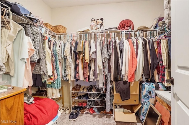 spacious closet featuring carpet floors